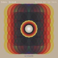Soul Sugar/NOTHING BUT THE TRUTH CD