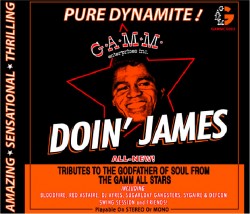 Various/GAMM DOIN' JAMES CD