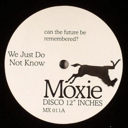 Unknown/WE JUST DO NOT KNOW 12"