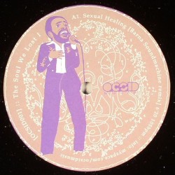 Marvin Gaye/THE SOUL WE LOST 12"
