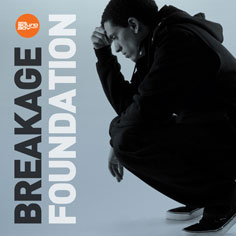 Breakage/FOUNDATION D12"