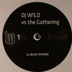 DJ Wild Vs The Gathering/IN MY SYS...12"