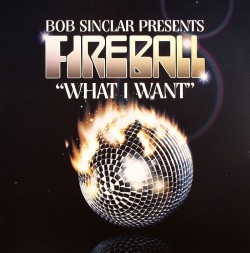 Bob Sinclar/WHAT I WANT 12"