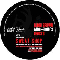 Djinji Brown/AFRO BIONIC REMIXES 12"