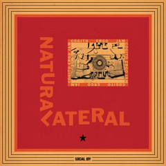 Natural Lateral/COGITO ERGO JAM EP 12"