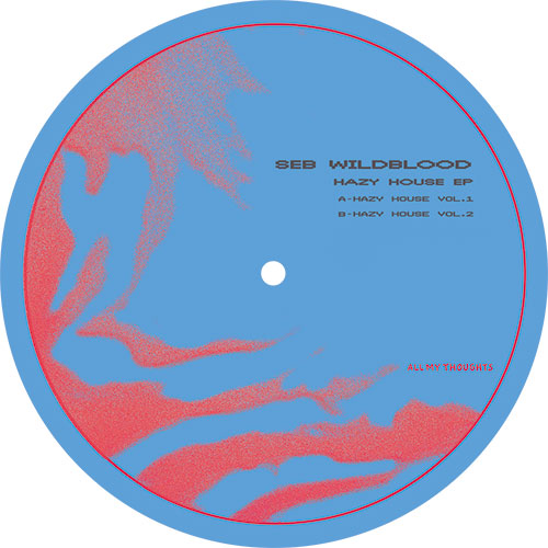 Seb Wildblood/HAZY HOUSE EP 12"