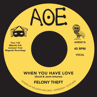 Felony Theft/WHEN YOU HAVE LOVE 7"