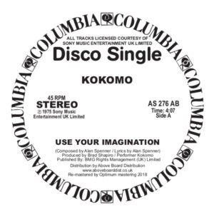 Kokomo/USE YOUR IMAGINATION-DK EDIT 12"