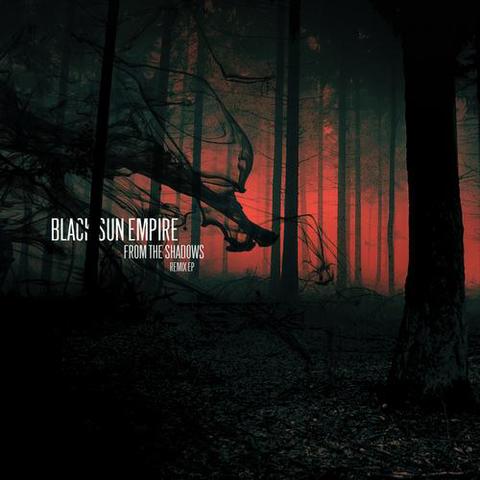 Black Sun Empire/FROM THE... REMIX D12"