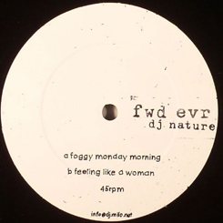 DJ Nature/FOGGY MONDAY MORNING 12"