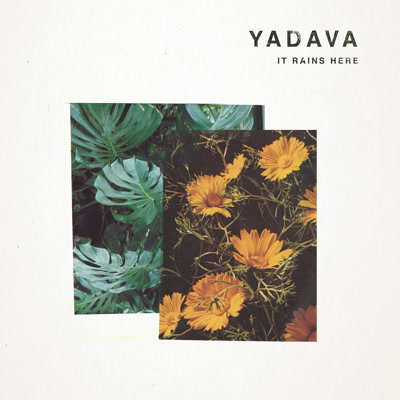 Yadava/IT RAINS HERE LP