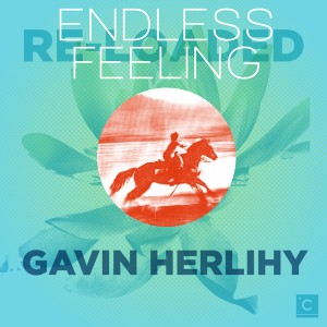Gavin Herlihy/ENDLESS FEELING REMIX 12"