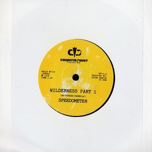 Speedometer/WILDERNESS 7"