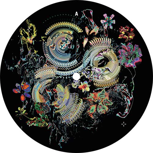 Victor Ruiz & Modea/BLOOM 12"