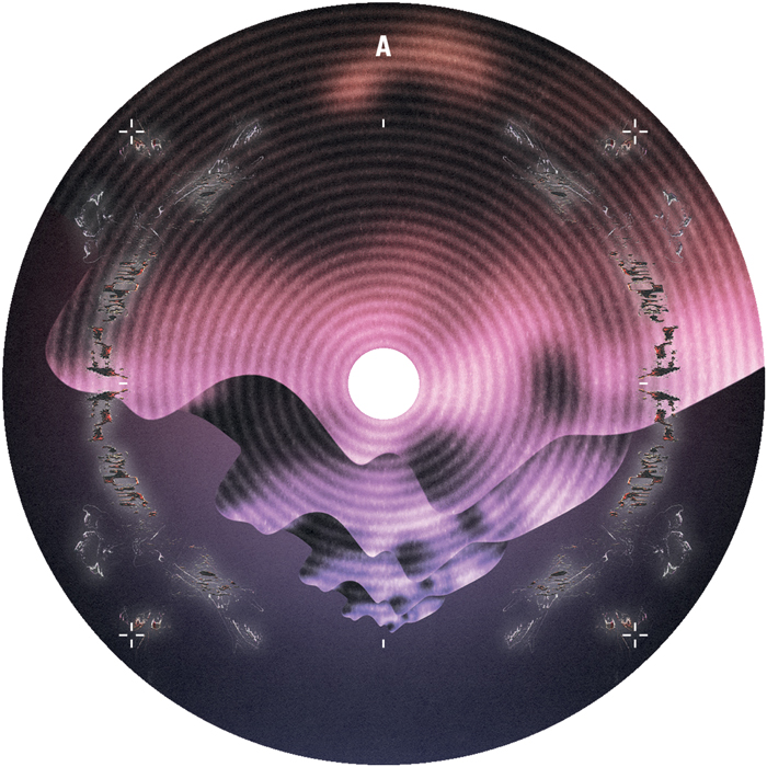 Alex Stein/THE CHANT 12"
