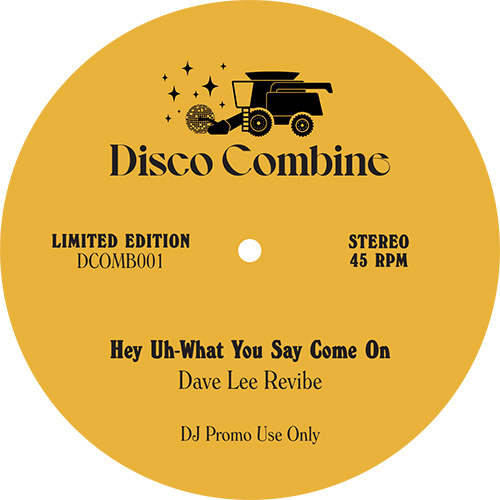 Roy Ayers/HEY UH (DAVE LEE REVIBE) 12"