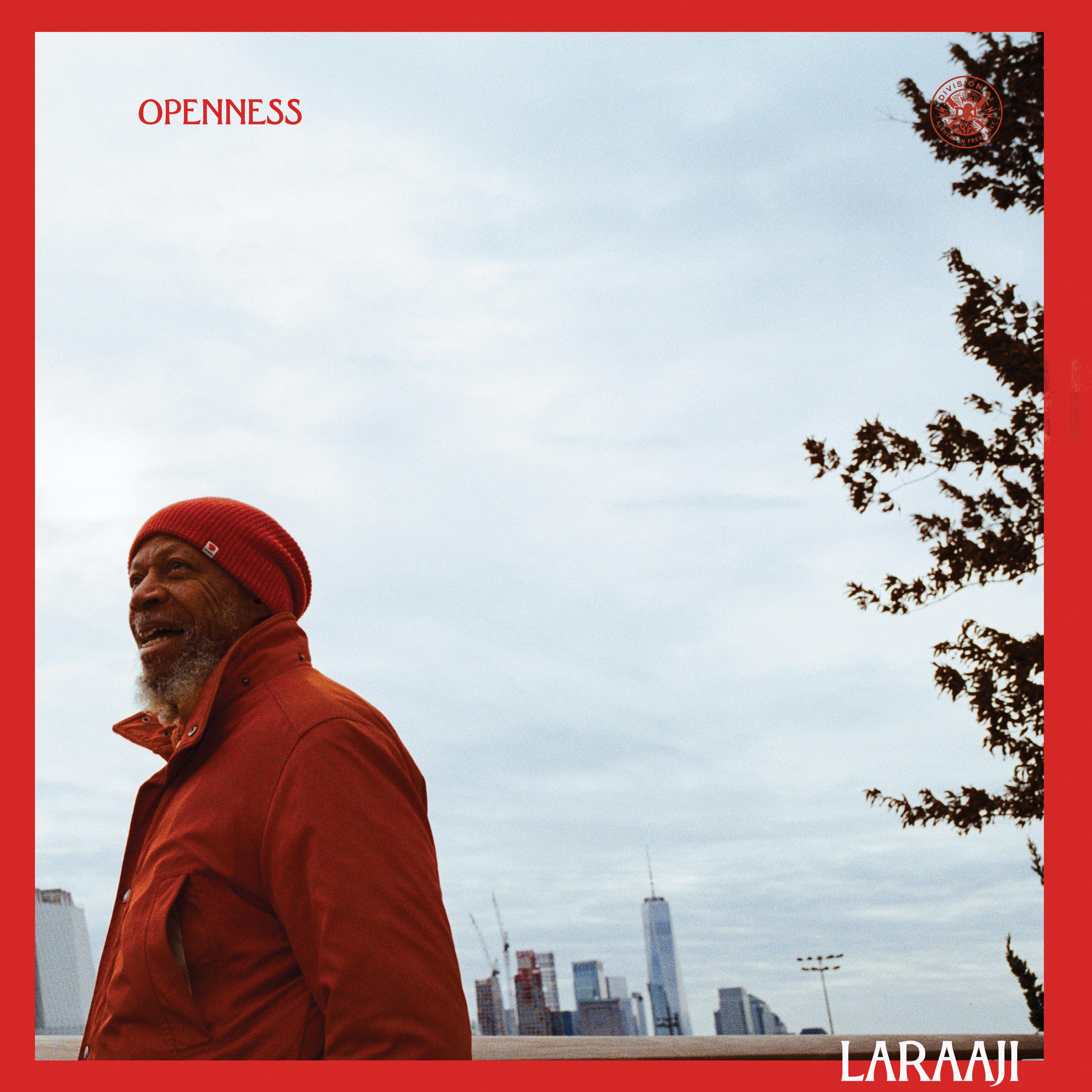 Laraaji/OPENNESS DLP
