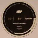 Solomun & Stimming/EISZAUBER RMXS 12"