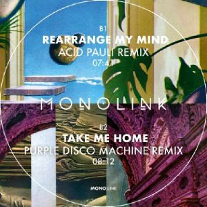 Monolink/REMIXES PT 2 12"