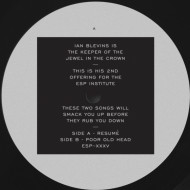 Ian Blevins/RESUME 12"