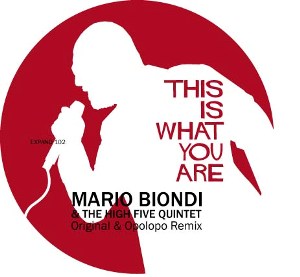 Mario Biondi/THIS IS WHAT YOU ARE 12"