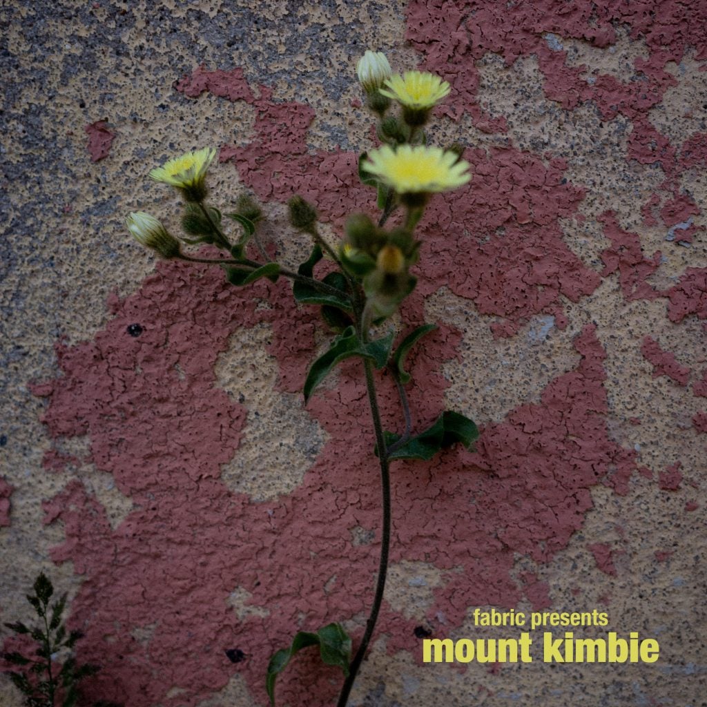 Mount Kimbie/FABRIC PRESENTS... DLP