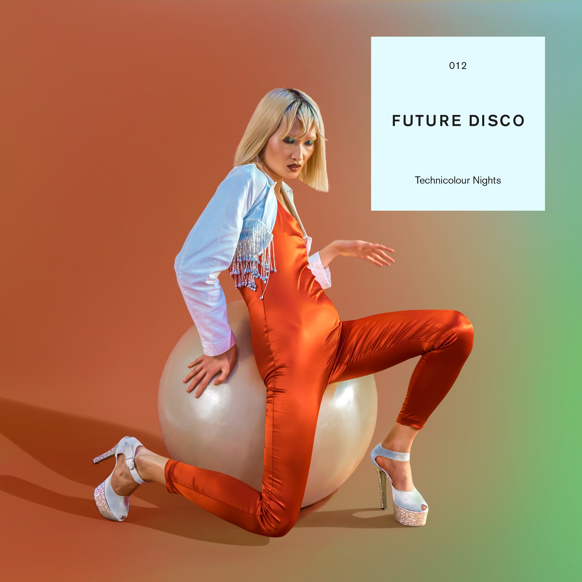 Various/FUTURE DISCO 012 DLP