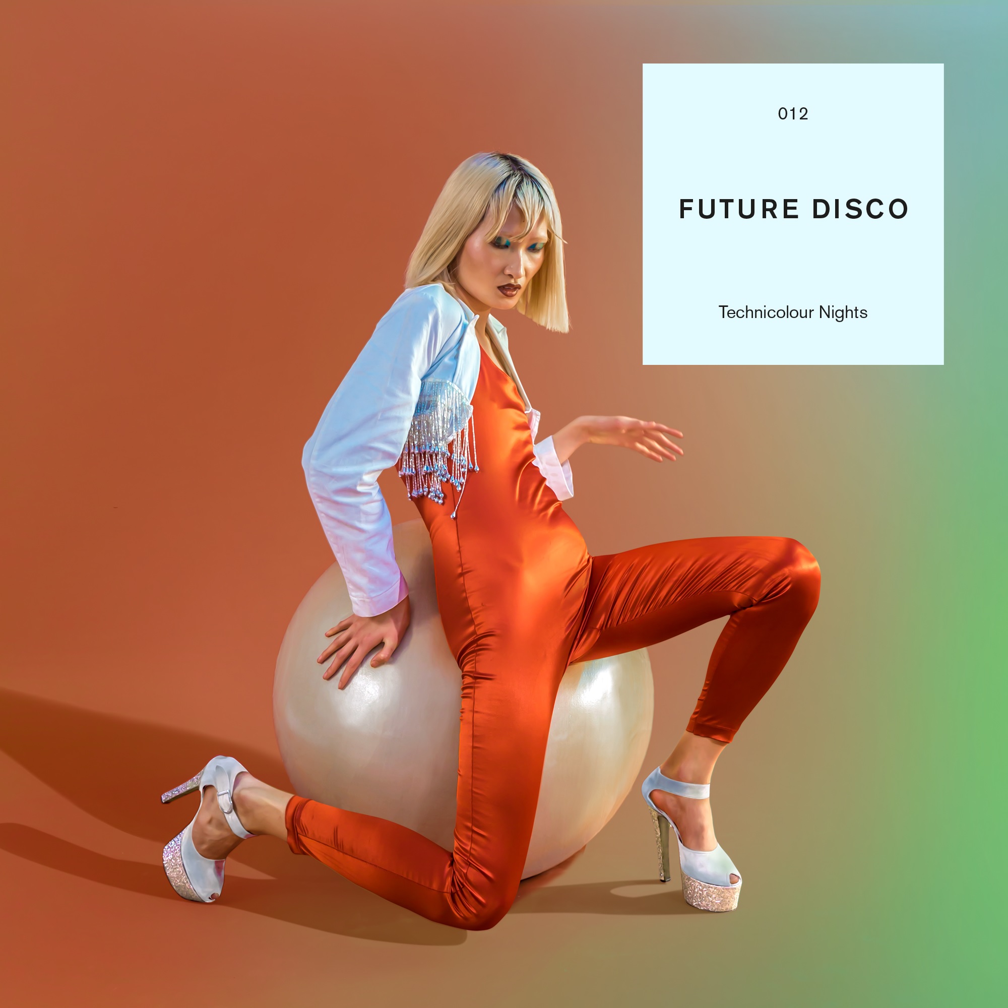 Various/FUTURE DISCO 012 DLP