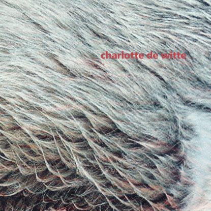 Charlotte De Witte/VISION EP 12"