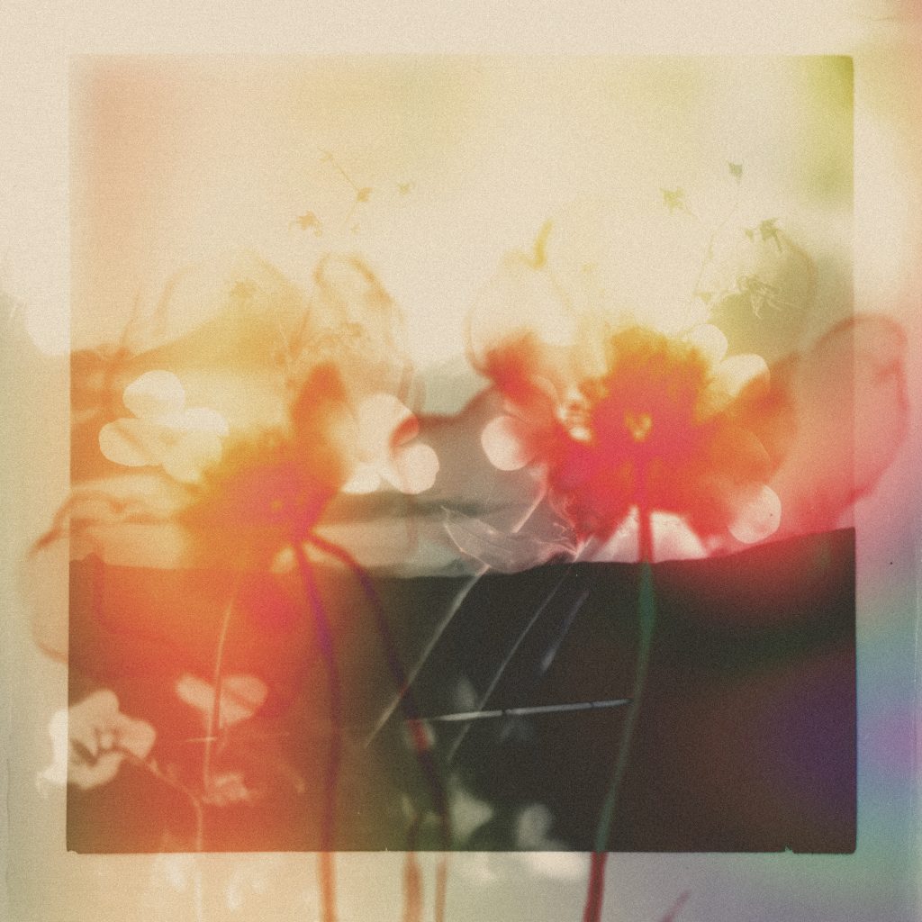 Gyrofield/AKIN & MOTHER 12"