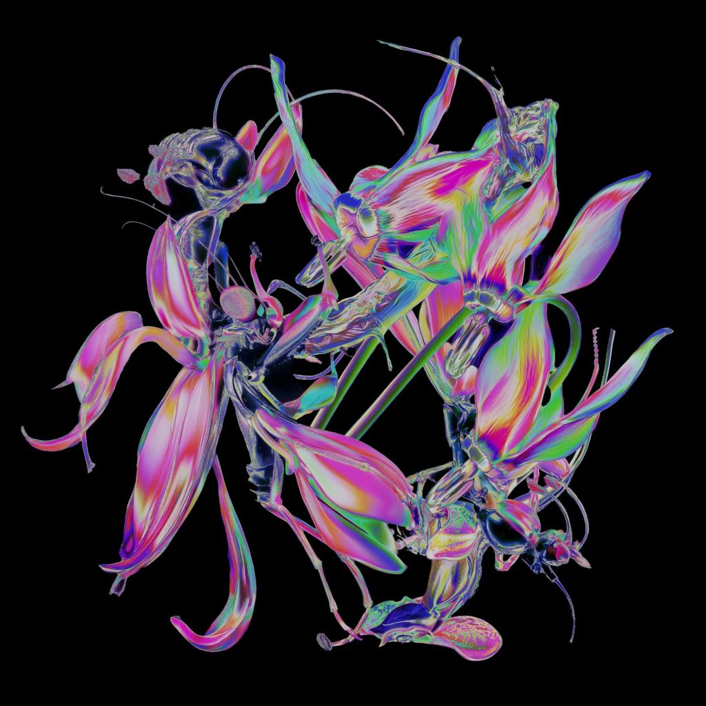 Theo Kottis/DRONE 12"
