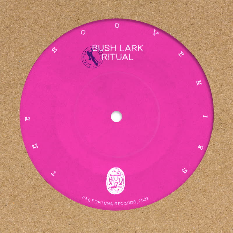 Souvenirs/BUSH LARK RITUAL 7"