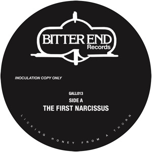DJ Parrot/THE FIRST NARCISSUS 12"
