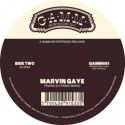 Marvin Gaye/PRAISE (DJ PRIME EDIT) 12"