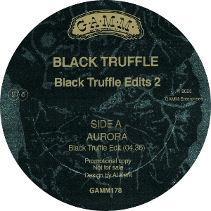 Black Truffle/GAMM EDITS PT 2 12"