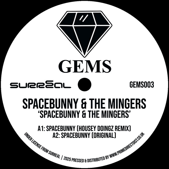 Spacebunny/SPACEBUNNY (REISSUE) 12"