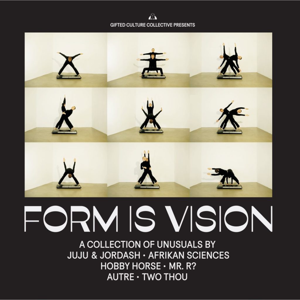 Various/FORM IS VISION LP