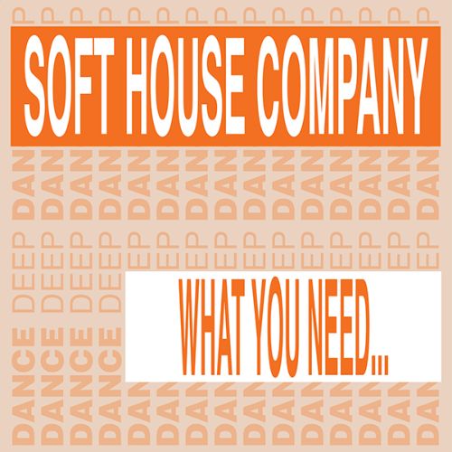 Soft House Company/WHAT YOU NEED 12"