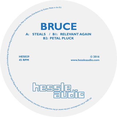 Bruce/STEALS 12"