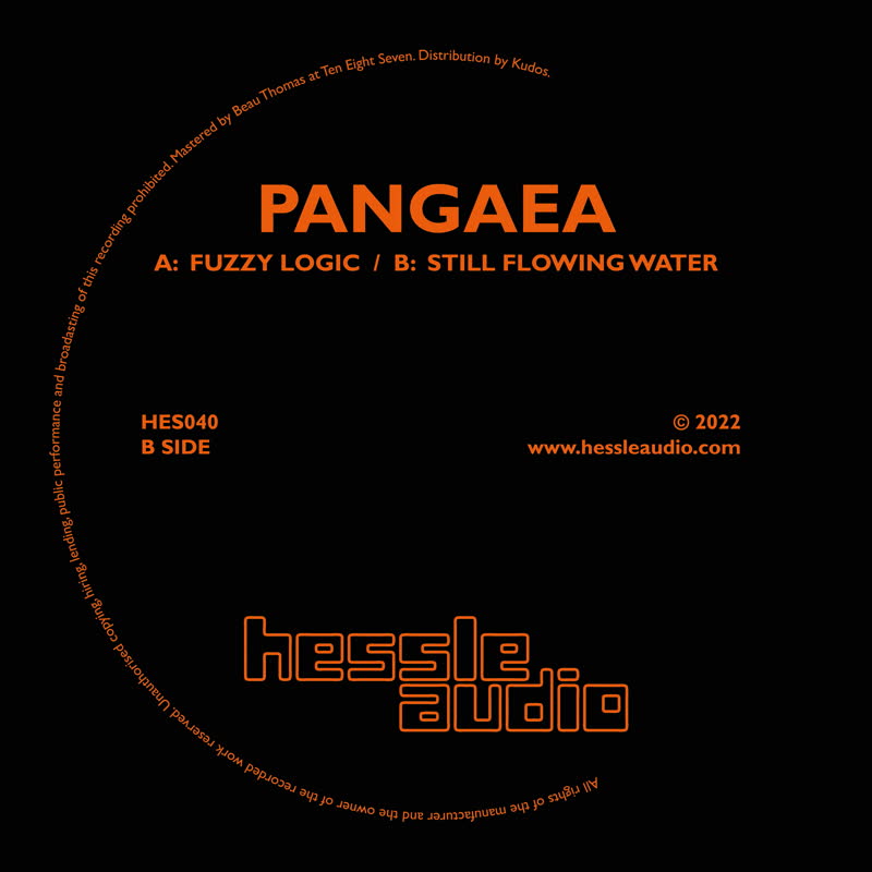 Pangaea/FUZZY LOGIC 12"