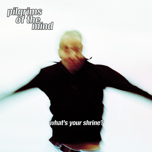 Pilgrims Of The Mind/WHAT'S YOUR... DLP