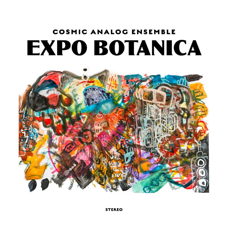 Cosmic Analog Ensemble/EXPO BOTANICA LP