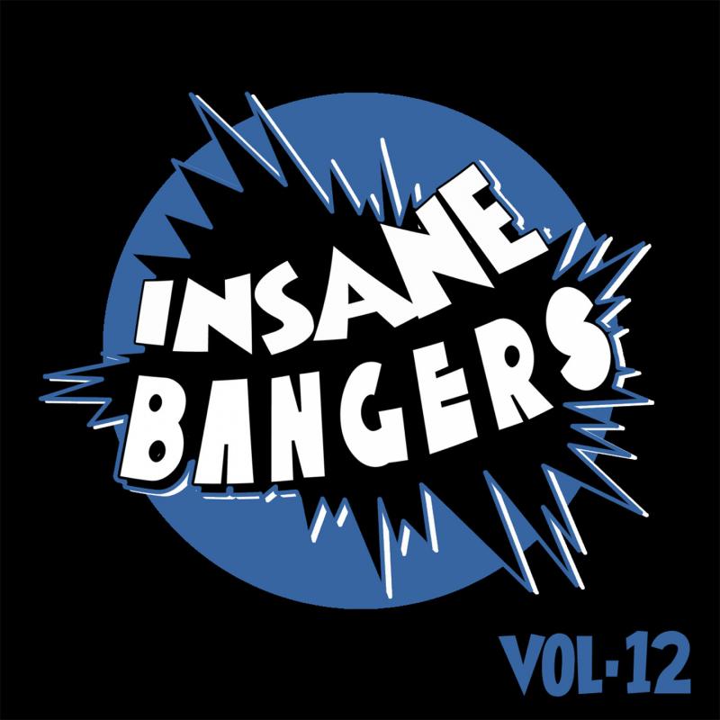 A Skillz/INSANE BANGERS VOL. 12 12"