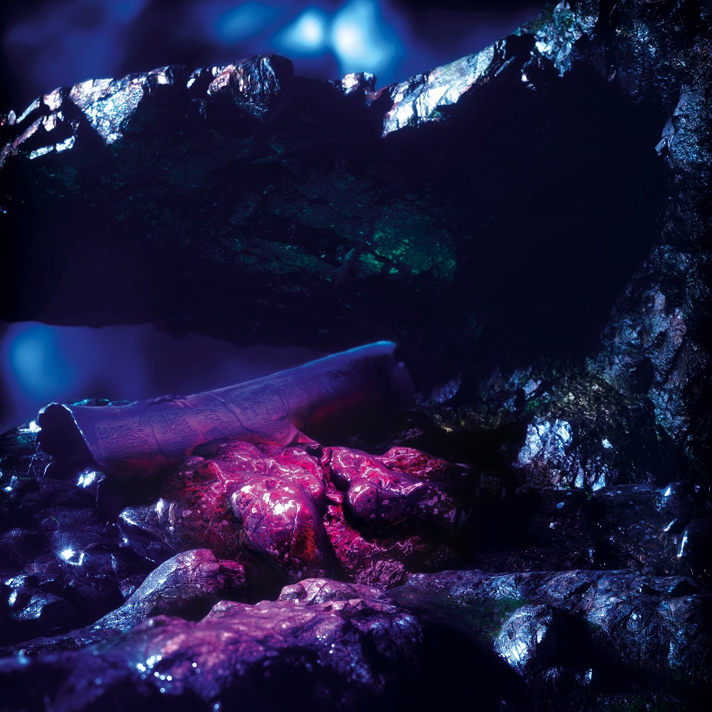 Stenny/SHARP FRAGMENTS DLP