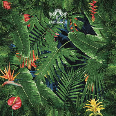 Earthboogie/HUMAN CALL DLP