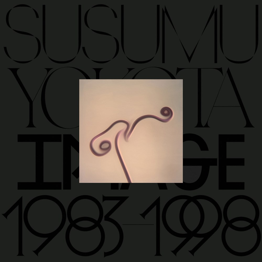 Susumu Yokota/IMAGE 1983-1998 (SKINTONE EDITION) LP