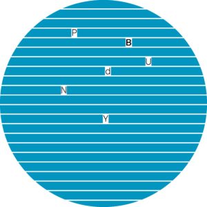 Philip Budny/SOMNAMBULISM 12"