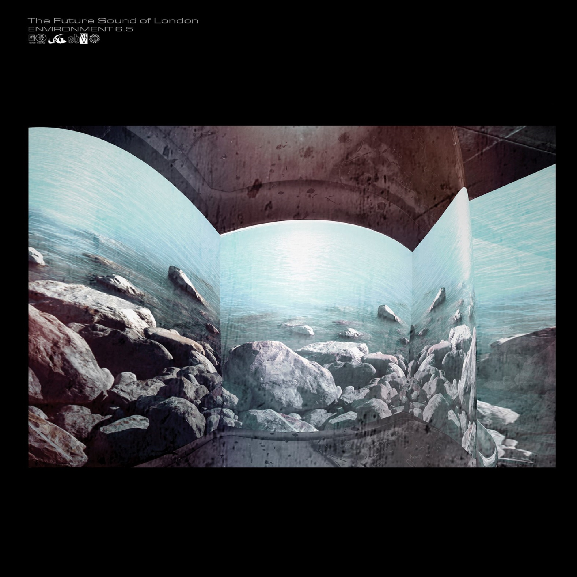 FSOL/ENVIRONMENTS VOL. 6.5 LP