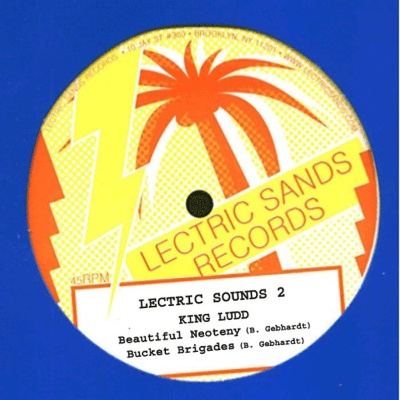 Zoovox/LECTRIC SOUNDS VOL. 2 12"