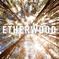 Etherwood/ETHERWOOD LP + CD